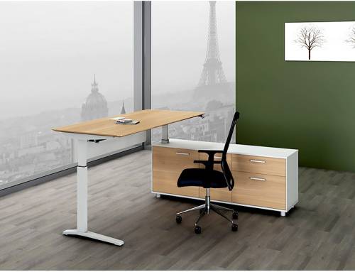 Where to Buy Office Desks for Startups: Balancing Cost and Style