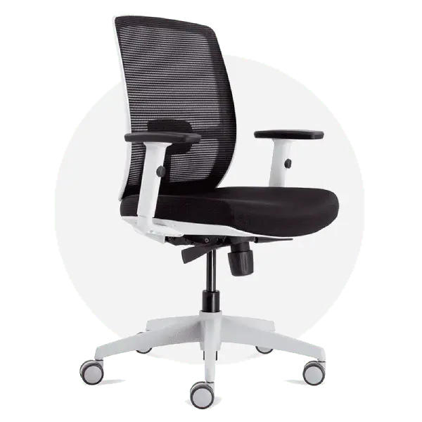 Ergonomic Office Chairs