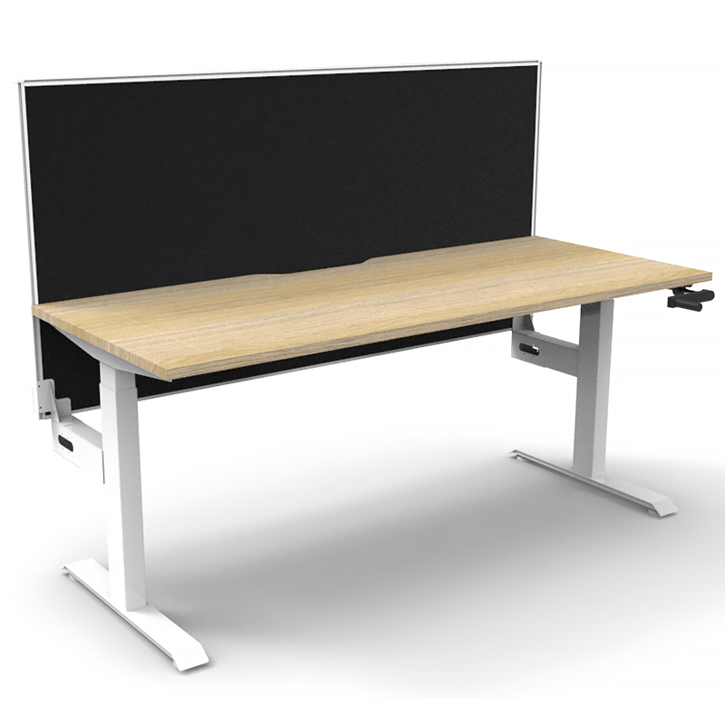 Sit stand desk with partition