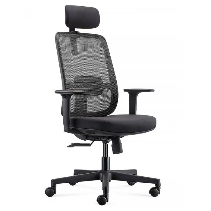 Office Chair with Headrest