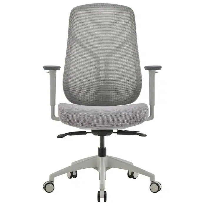 High Back Ergonomic Chair