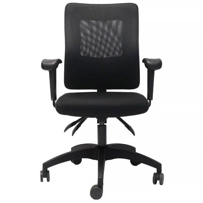 AM100 Ergonomic Office Chair