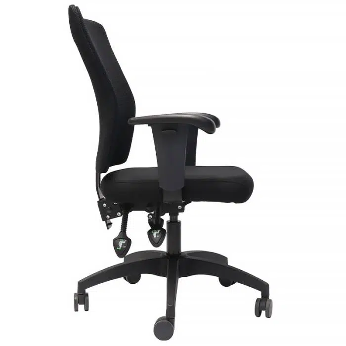 Ergonomic Office Chair